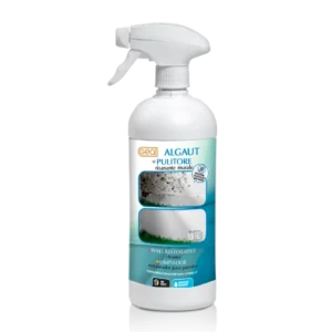 Spray risanante murale anti alga o muffa